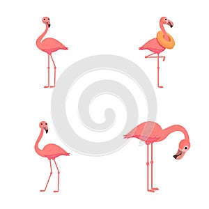 Flamingo icons set cartoon vector. Cute pink flamingo bird