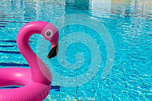 Flamingo isolated. Pink inflatable flamingo in pool water for summer beach background. Pool float party
