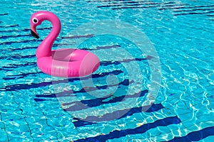 Flamingo isolated. Pink inflatable flamingo in pool water for summer beach background. Pool float party