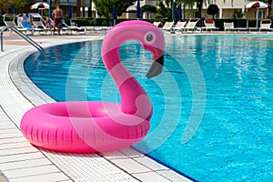 Flamingo isolated. Pink inflatable flamingo in pool water for summer beach background. Pool float party