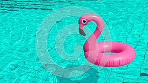 Flamingo isolated. Pink inflatable flamingo in pool water for summer beach background. Pool float party.