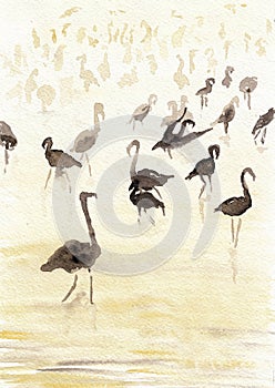 Flamingo on the lake artwork portrait. Watercolor hand drawn on watercolour paper texture