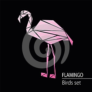 Flamingo logo vector.Pink Flamingo icon on a dark background