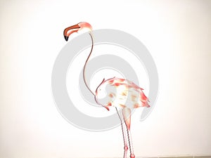 Flamingo minimalist photo