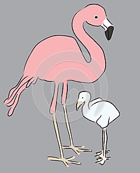 Flamingo mother and baby chick vector