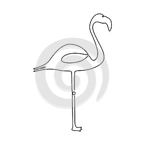 Flamingo one line drawing. Continuous line tropical bird. Hand-drawn illustration for logo, emblem and design card, poster.