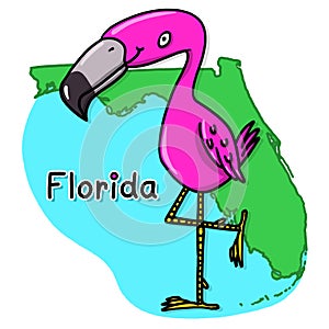 Flamingo over the state of Florida map illustration