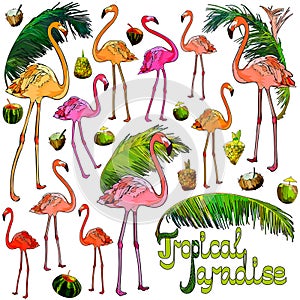 Flamingo and palm leaves. Vector background