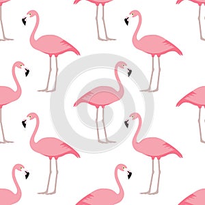 Flamingo seamless pattern