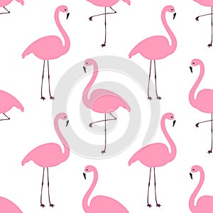 Flamingo seamless pattern