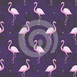 Flamingo seamless pattern.