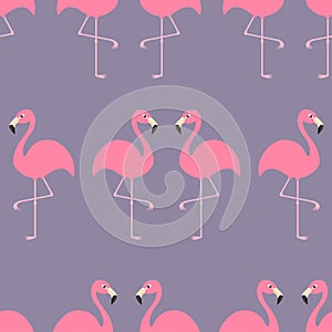 Flamingo Seamless Pattern Exotic tropical bird. Zoo animal collection. Cute cartoon character. Decoration element. Violet