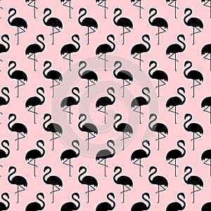 Flamingo seamless pattern on pink background.