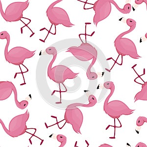 Flamingo seamless pattern pink bird background summer tropical zoo wallpaper.