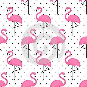 Flamingo seamless pattern on polka dots background.