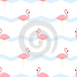 Flamingo seamless pattern vector illustration white background.