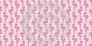 Flamingo seamless pattern vector pink Flamingos exotic bird summer tropical scarf isolated tile background repeat wallpaper cartoo