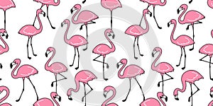 Flamingo seamless pattern vector pink Flamingos exotic bird tropical scarf isolated tile background repeat wallpaper cartoon illus