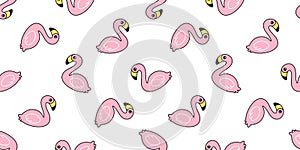 Flamingo seamless pattern vector pink Flamingos exotic bird tropical summer cartoon scarf isolated tile background repeat wallpape