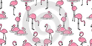 Flamingo seamless pattern vector pink Flamingos exotic bird tropical summer scarf isolated repeat wallpaper tile background cartoo