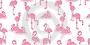 Flamingo seamless pattern vector pink Flamingos exotic bird tropical summer scarf isolated tile background repeat wallpaper cartoo