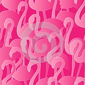 Flamingo seamless pattern. Vector tropical exotic texture. Hand drawn birds