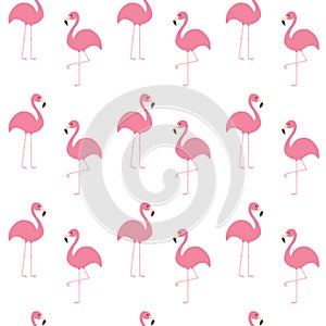 Flamingo set. Seamless Pattern Exotic tropical bird. Zoo animal collection. Cute cartoon character. Decoration element. White back