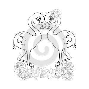 Flamingo sketch Pair of cute lovers pink flamingos with cute eyes with eyelashes with flowers beautiful black and