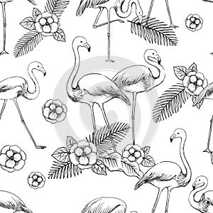 Flamingo sketch pattern. Seamless print of exotic tropical bird. Feathered animals hand drawn background. Flying