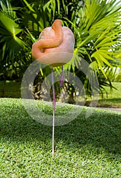 Flamingo Sleeping Portrait Shade
