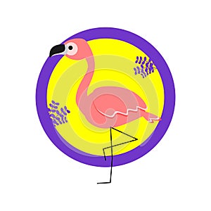 Flamingo summer bird in vector illustration.