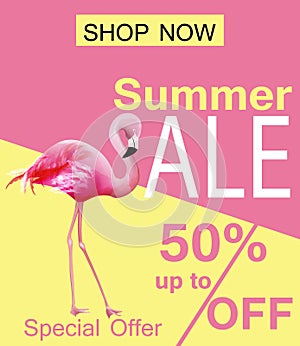 Flamingo Summer sale card Vector. violet and pink backgrounds