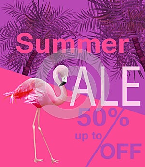 Flamingo Summer sale card Vector. violet and pink backgrounds