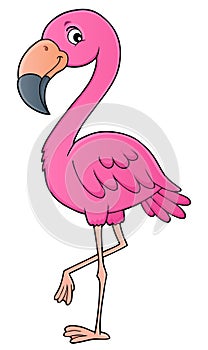 Flamingo topic image 1