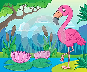 Flamingo topic image 4