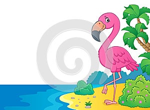 Flamingo topic image 6