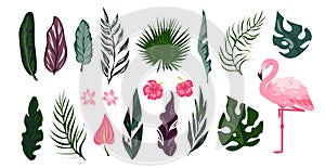 Flamingo tropical collection. Exotic bird with palm tree leaves. Cartoon tropic flora and fauna set. Pink animals