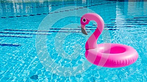 Flamingo tropical. Pink inflatable flamingo in water for summer beach background. Pool float party.