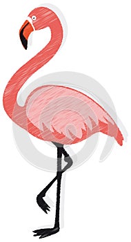 Flamingo vector