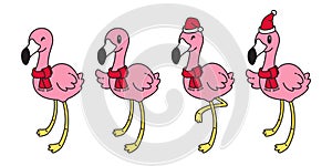 Flamingo vector Christmas hat Santa Claus Xmas cartoon character pink flamingos collection illustration Cute animal exotic nature