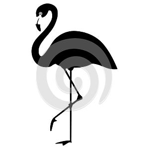 Flamingo vector eps Hand drawn, Vector, Eps, Logo, Icon, crafteroks, silhouette Illustration for different uses