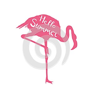 Flamingo. Vector illustration