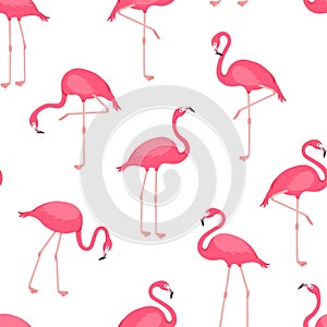 Flamingo vector seamless pattern, pink bird background, tropical summer print. Cute animal wallpaper. Cartoon texture. Exotic