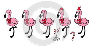 Flamingo vector set Christmas hat Santa Claus hat Xmas scarf cartoon character pink flamingos candy cane illustration Cute animal