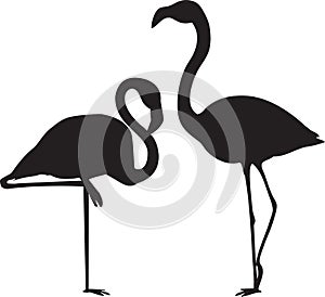 Flamingo Vectors