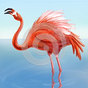 Flamingo in the water