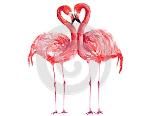 Flamingo watercolor