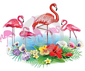 Flamingoes and Arrangement from tropical flowers