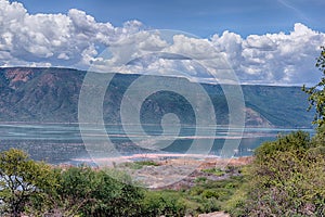 Flamingoes on Lake Bogoria