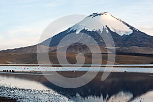 Parinacota Volcano reflected in Lake Chungara, Chile